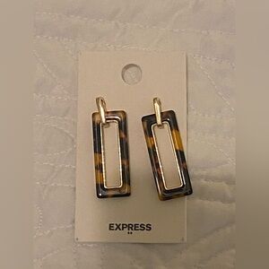 Express Earrings